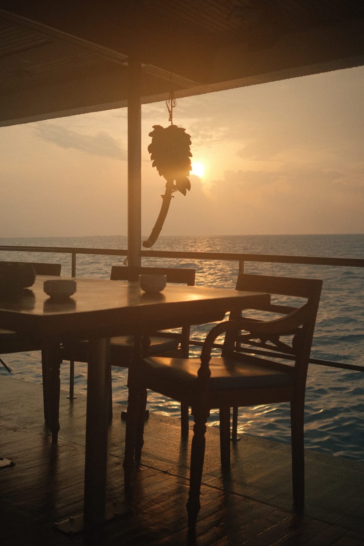 Empty table, sunset through a hanging plant, nowhere else