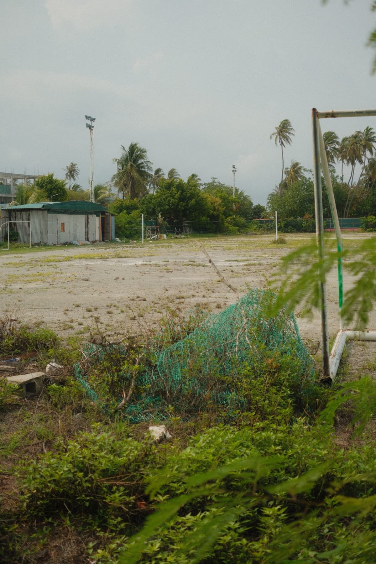 Abandoned goal, tangled net, palms swaying in grey