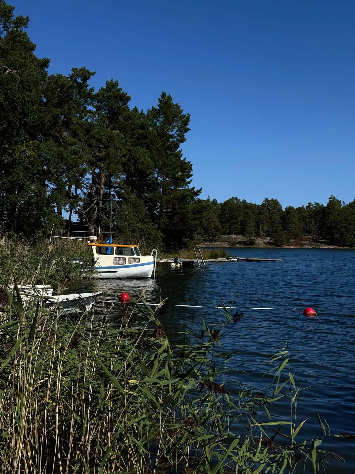 A white motorboat moored in the reeds, mooring buoys bobbing behind it