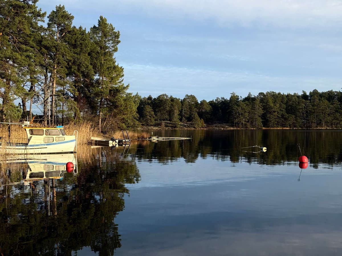 Boats moored on a glass-flat inlet, the low sun catching the far trees