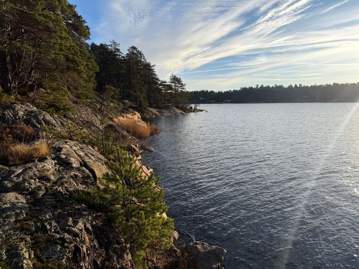 The rocky shore in winter, cirrus streaking the sky